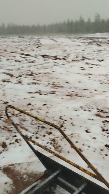 1000013075.mp4 смотреть онлайн