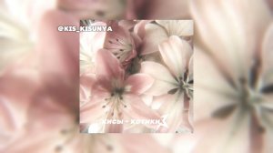 Measora:кисы - котики speed up