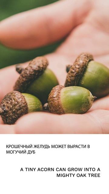 Желудь смотреть онлайн
