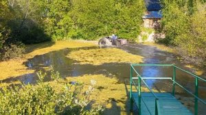Сосед катается на каракате по пруду