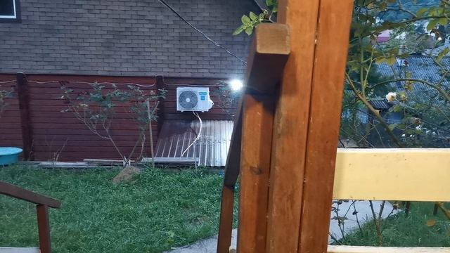 СОЧИ ГОРНОЕ ЛОО УТРО 03.07.2026 смотреть онлайн