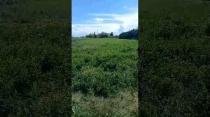 Работаем