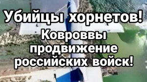 ПРОДВИЖЕНИЯ РОССИЙСКИХ ВОЙСК. УБИЙЦЫ ХОРНЕТОВ! / Тамир Шейх новости сводки