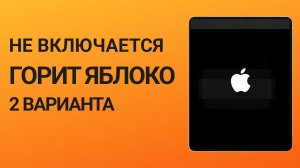 iPad не включается горит яблоко, что делать? [2 варианта в 2024 году]