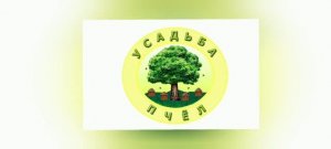 Почему назвала канал «Усадьба Пчёл»?