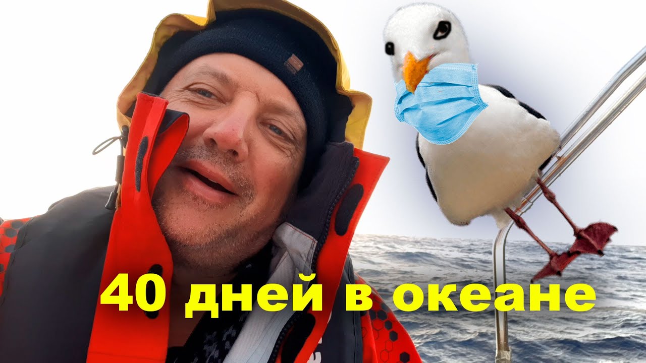 Переход яхты через Атлантику заснял на телефон. 40 дней самоизоляции в океане