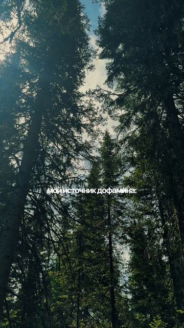 Ваш новый источник дофамина в летнем Шерегеше ⛰❤ смотреть онлайн