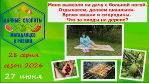 Вывезли на дачу с больной ногой. Отдыхаем. Шашлыки. Время вишни и смородины. Что за плоды на дереве?