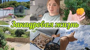 ЧТО ОСТАЁТСЯ ЗА КАДРОМ? 🎥 ЩЕНКИ ПРОПАЛИ! 😢