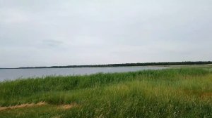 С друзьями на рыбалку / приготовила Холодец / жареная Рыбка