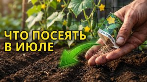 Посейте эти овощи в июле Шокирующий результат в сентябре 🥬