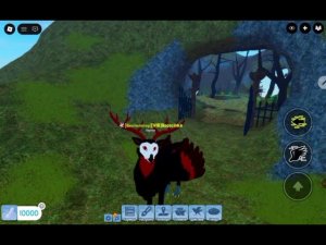 Обновление в Roblox Семья Птиц — новые птицы, фишки и улучшения в Feather Family! 🐦✨ #featherfamily