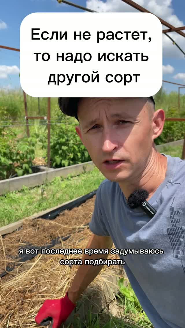 Освоение ГЕКТАРА с нуля