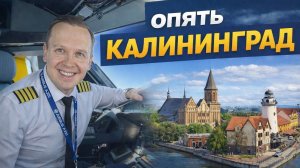 Один день пилота. 👨🏼✈️  Москва-Калиниград-Москва. ✈️