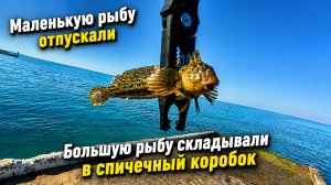 Мормышинг. Пробую рыбачить первый раз.