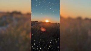 Закатная фантазия