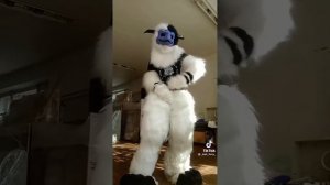 Фурри из Тик тока