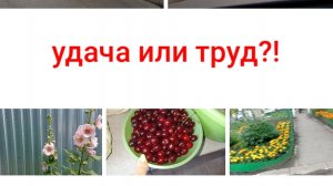 что стоит за большим успехом,впечатления от фильма навели на мысли