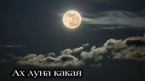 Леонид Щербина -- Ах луна какая