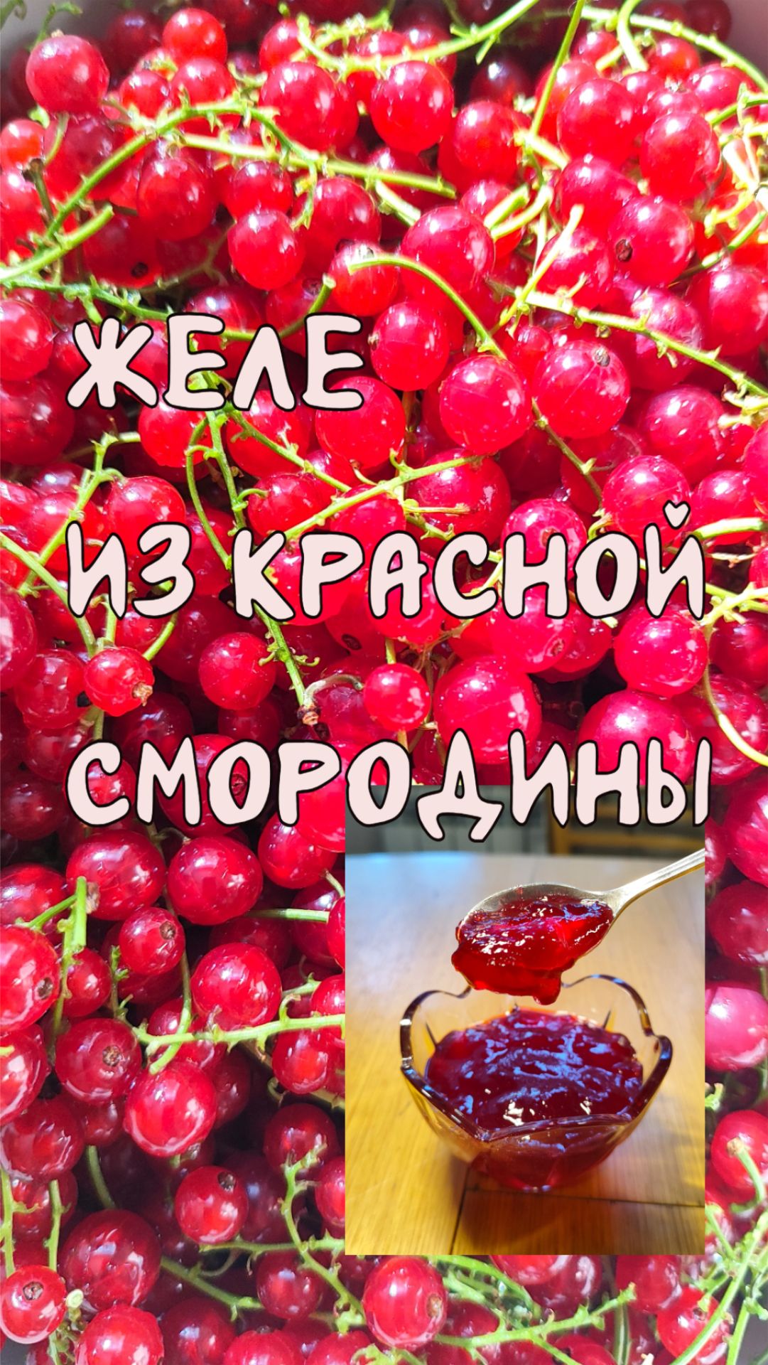Желе из Красной смородины. Всегда кстати.