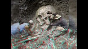 Гигантские окаменелости были найдены в Турции. Кость ноги человека имеет в длину 120 см.