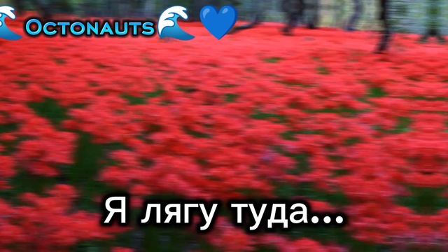 . смотреть онлайн