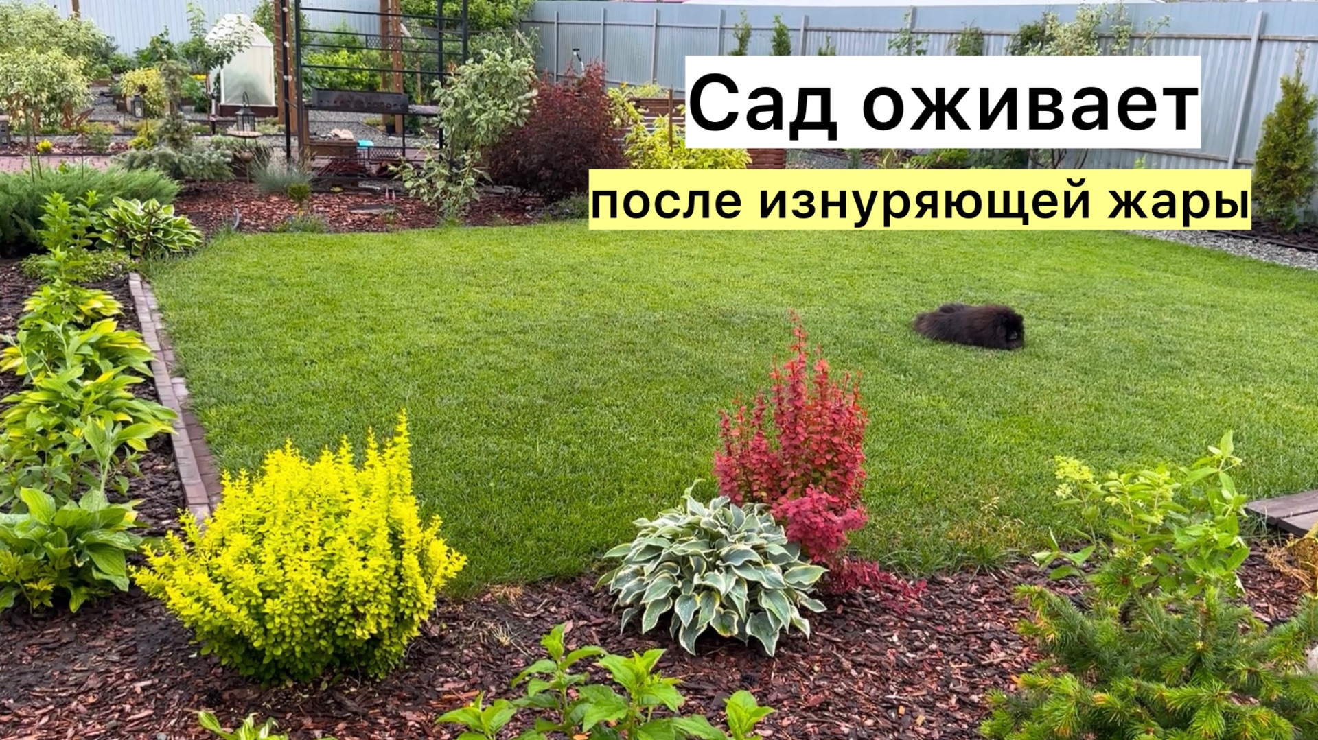 Прогулка по саду после долгожданного дождя!