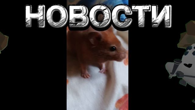 почему же меня не было 5 дней? смотреть онлайн
