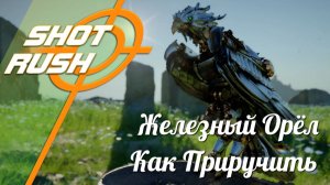 Железный Орёл Кримсон | Как найти и приручить легендарного орла