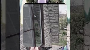 1000063338.mp4 (Собака наблюдает за установкой розетки у котла, технолог. её подкл. в доме А-фрейм)