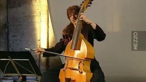 СТРУННО-СМЫЧКОВЫЕ ИНСТРУМЕНТЫ - ПОЯВЛЕНИЕ.  Viola da gamba