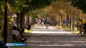 «Вести. Ставропольский край» 3.07.2026 (11.30)