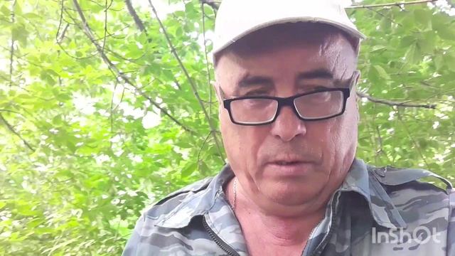 В кустах. смотреть онлайн