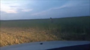 пьяный и веселый 3