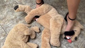 Crushing and Trampling Dog Plushies in Black Sandals - ASMR - Stuffed Toy