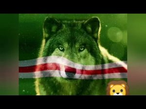 Юсуп Алиев-Я волк🐺