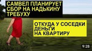 САМВЕЛ АДАМЯН, АДАМЯН ОБЬЯВИЛ СБОРЫ НАДЕ НА ТРЕБУХУ, ОТКУДА У СОСЕДКИ ДЕНЬГИ НА КВАРТИРУ..