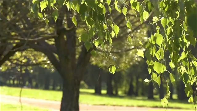 Никогда не смотрите в окно в эти даты июля. смотреть онлайн