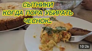 САМВЕЛ АДАМЯН, СЫТНИКИ, КОГДА ПОРА УБИРАТЬ ЧЕСНОК..