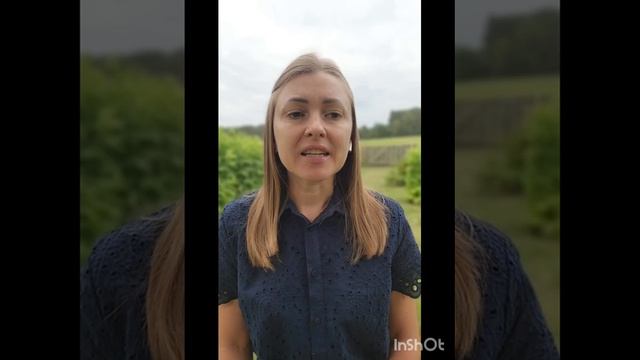 "Великая скорбь пройдется сверхъестественно. Война и голод. Восхищение невесты" Отец Небесный смотреть онлайн