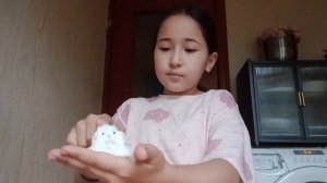 тапаю химика столько  сколько вы напишети