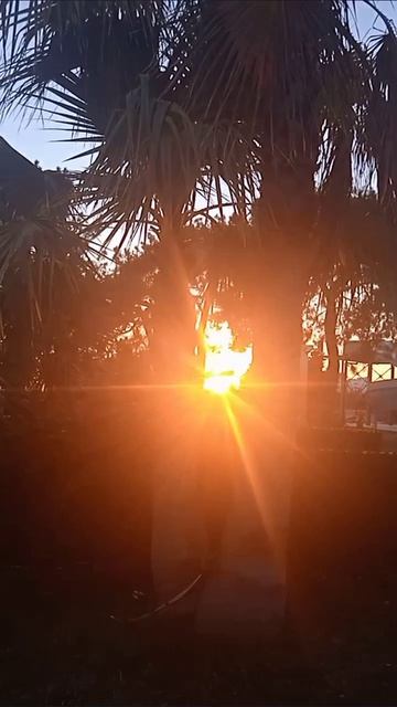 CASA Fora Beach Resort Hotel