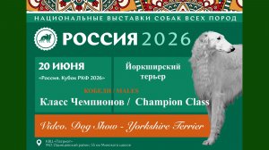 NDS «RUSSIA. RKF CUP 2026» / Males / Champion Class