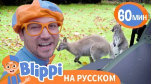 Песня про Дикую Природу _ Обучающие песни для детей _ Blippi Russian