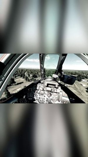 Грач над городом.DCS