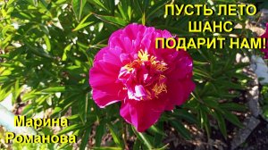 © Марина Романова «ПУСТЬ ЛЕТО ШАНС ПОДАРИТ НАМ!»
