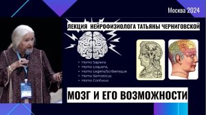 Мозг и его возможности. Татьяна Черниговская