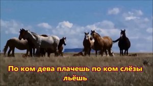 По Дону гуляет