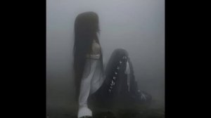 v1
