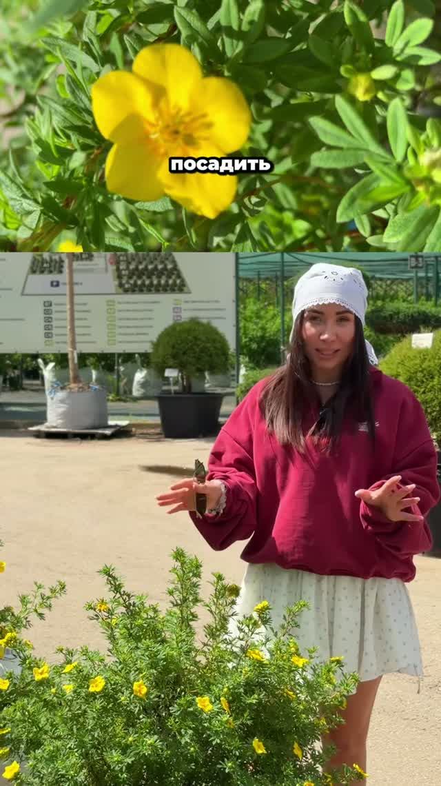 Почему все опытные садоводы сажают именно его?🤩🔥